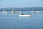 Pebbles in Poole, Dorset, South West England