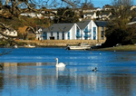 Self catering breaks at 2 Crabshell Quay in Kingsbridge, Devon