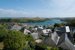 Waders in Salcombe, Devon, South West England