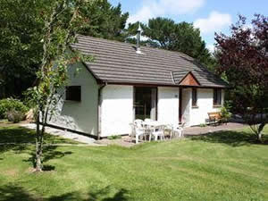 Self catering breaks at Beech Croft in Goonhavern, Cornwall