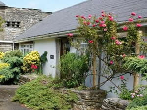 Self catering breaks at Plover Cottage in Trenale, Cornwall