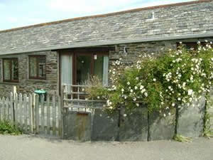 Self catering breaks at Wild Rose in Treligga, Cornwall