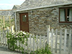 Swallows in Treligga, Cornwall, South West England