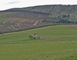 Tomachlaggan Cottage in Ballindalloch, Morayshire, East Scotland