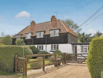 Hedges in Burley, Hampshire, South East England
