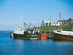 Farne House Cottages - Crag End in Seahouses, Northumberland, North East England