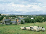 Akeld Manor - Freesia Cottage in Akeld, Northumberland, North East England