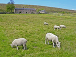 Shawside Farm in Upper Hulme, Staffordshire, Central England
