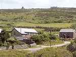 Skylarks in Morvah, Cornwall, South West England