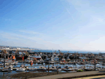 Self catering breaks at 1 bedroom apartment in Newlyn, Cornwall