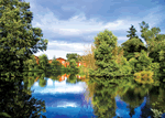 Kingfisher Lodge Plus in Craven Arms, Shropshire, West England