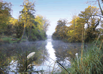 Upton Lakes Elm (Pet Friendly) in Cullompton, Devon, South West England