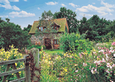Eden Cottage in Little Hautbois, Norfolk, East England