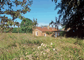 Deer Park Cottage in Gunton Park, Norfolk, East England
