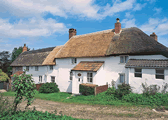 Hydrangea Cottage in Hewood, Dorset, South West England