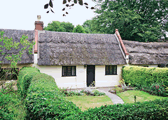 Violet Cottage in Catfield, Norfolk, East England