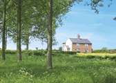 Grove Farm Cottage in Ilketshall St Lawrence, Suffolk, East England