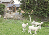 Venn Byre in Ivybridge, Devon, South West England