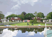 Bullrushes in Horning, Norfolk, East England