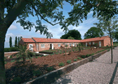 Nature in Fishtoft, Lincolnshire, East England