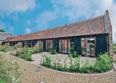 Basil in Catfield, Norfolk, East England