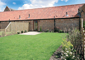 Oregano in Catfield, Norfolk, East England