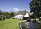 Mallards in Wroxham, Norfolk, East England