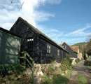 Sycamores in Brightstone, Isle of Wight, South East England