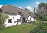 Pink Cottage in Woodgreen, Hampshire, South East England