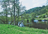 Pinesmoke in Killin, Perthshire, Central Scotland