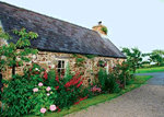 Primrose Cottage in Amroth, Pembrokeshire, South Wales