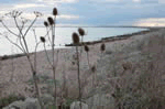 Hillside in Hythe, Kent, South East England