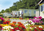 Seadown Park in Charmouth, Dorset, South West England